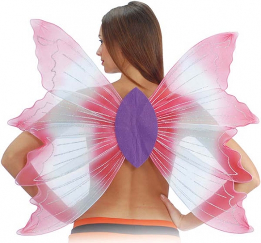 Ailes de papillon fil argent 70h x80 cm - Photo