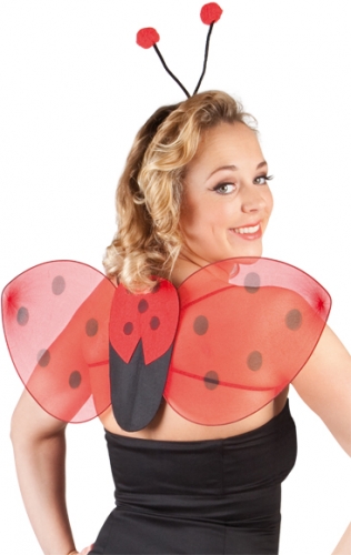 Set coccinelle ailes et serre tte - Photo