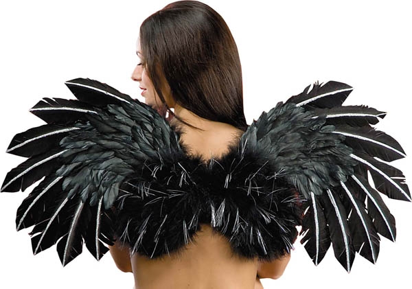 Ailes plumes noires paillettes 40x80 cm - Photo