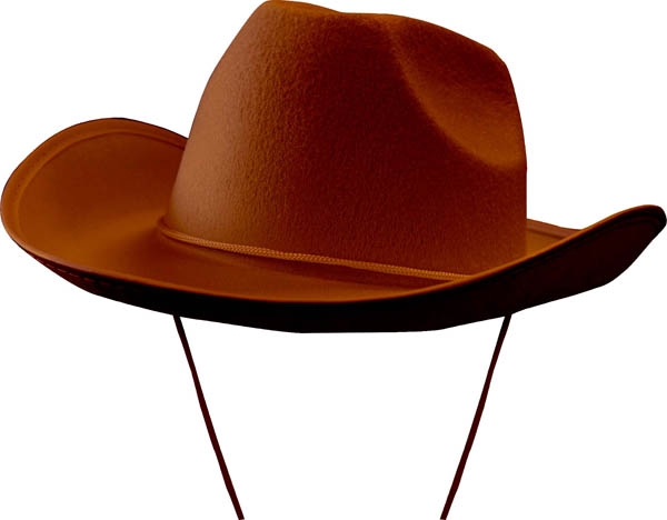 Chapeau cow boy marron adulte - Photo