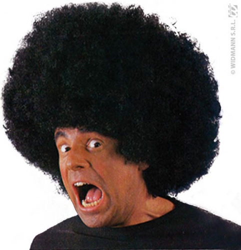 Perruque big afro - Photo