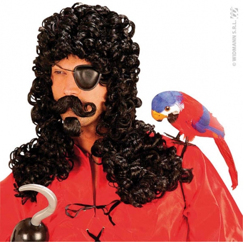 Perruque pirate avec bouc et moustaches - Photo