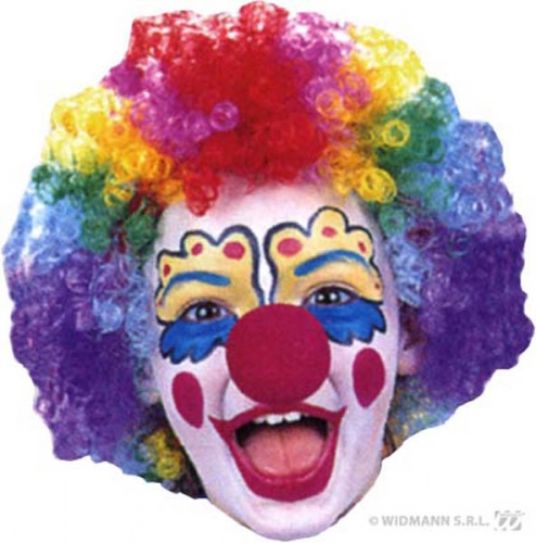 Perruque clown multicolore enfant flamme retardante - Photo