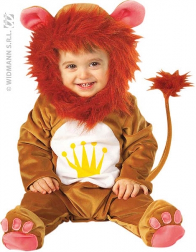 Dguisement bb lion - Photo