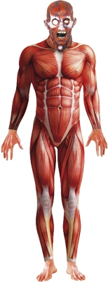 Dguisement anatomy man  - Photo